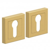 AS-1CL, цвет: SGold