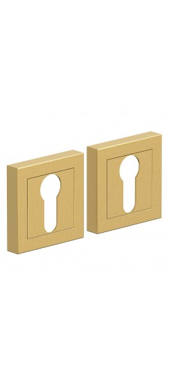 AS-1CL, цвет: SGold