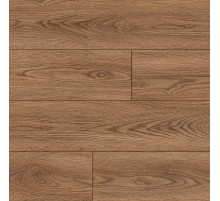 6642 Дуб Бэкстер (1,347 кв.м.)