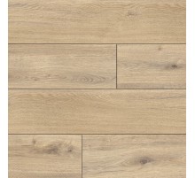 6677 Дуб Ривер (1,347 кв.м)