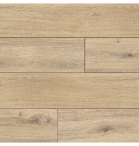 6677 Дуб Ривер (1,347 кв.м)