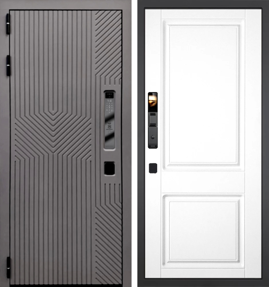 Входная дверь Смарт Нанорельеф
